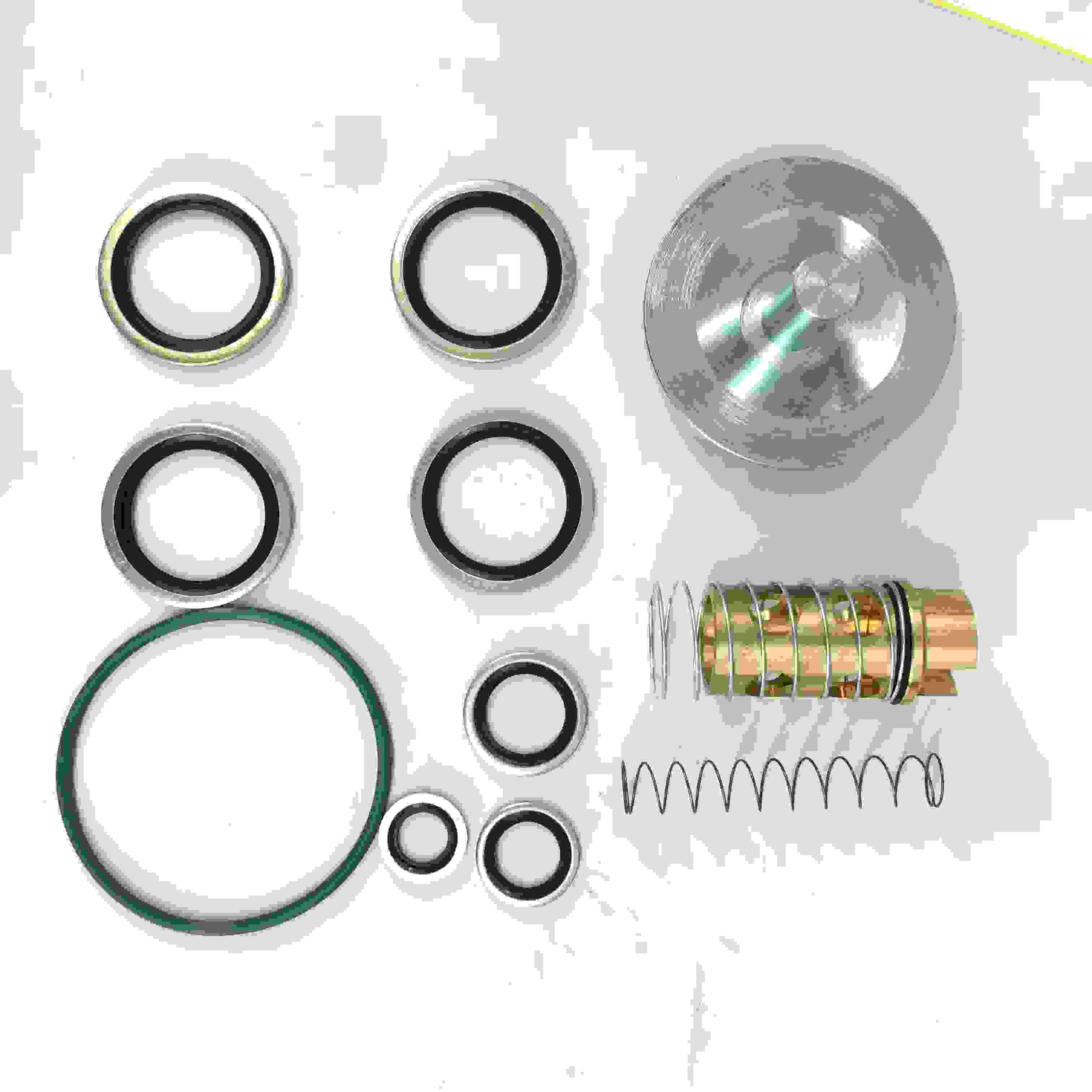Atlas Copco Compatible Enailing Check Calve Kit 2901145000